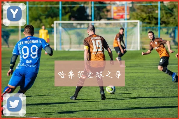 哈弗茨金球之争