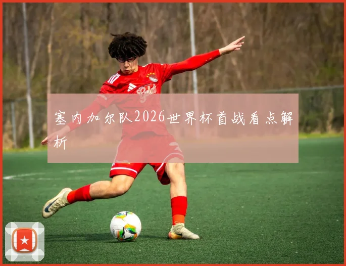塞内加尔队2026世界杯首战看点解析