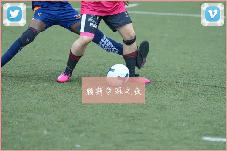 赖斯争冠之夜