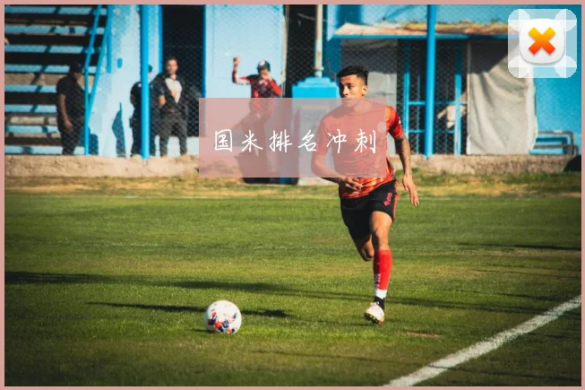 国米排名冲刺